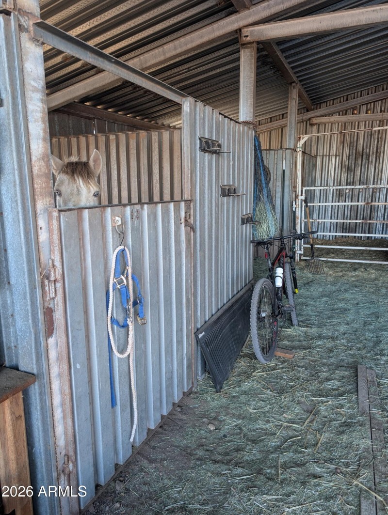 Inside Stalls