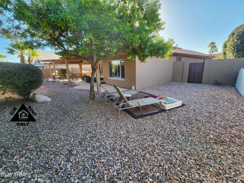 Backyard 03