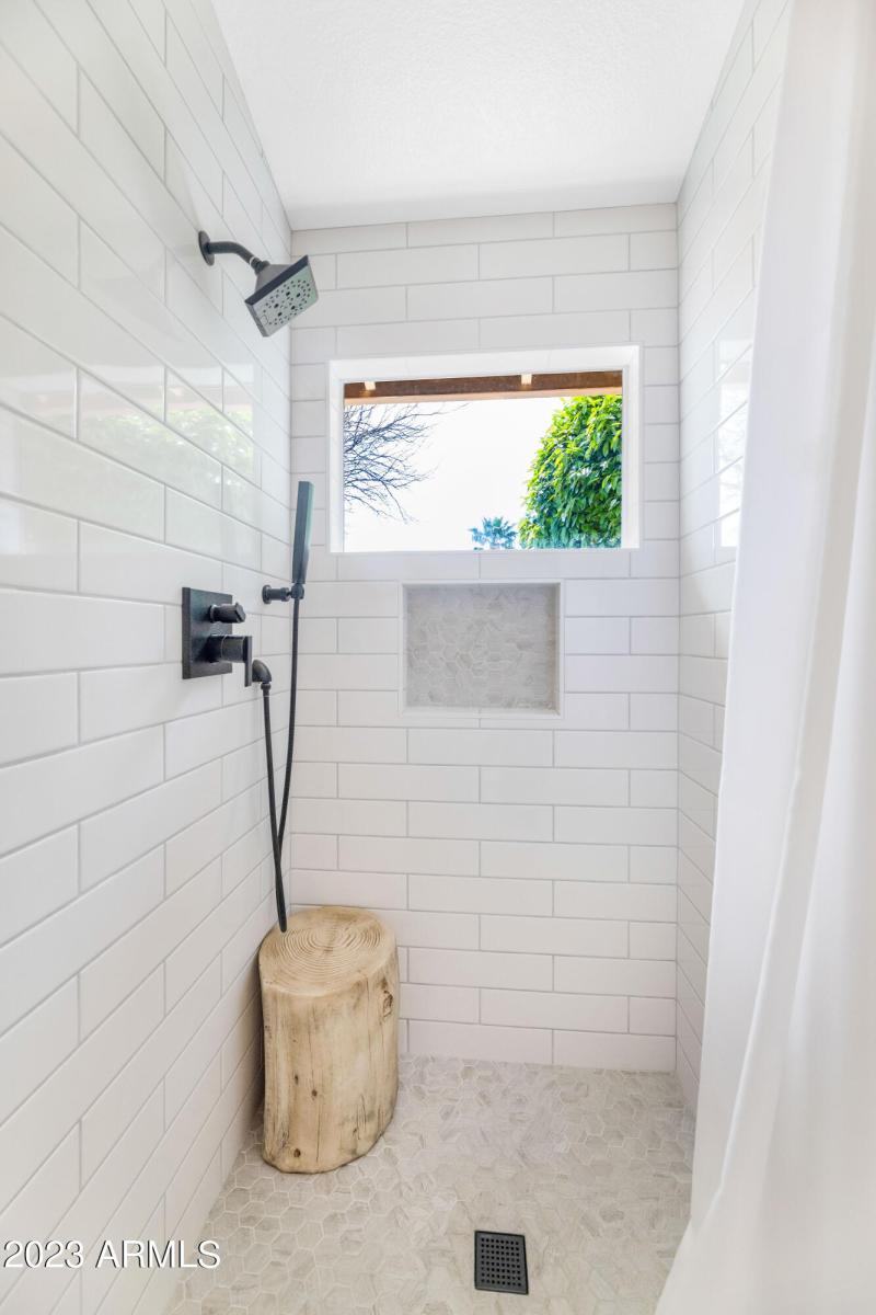 Primary Shower
