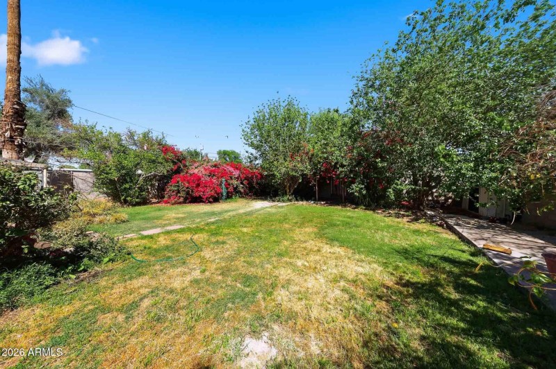 Huge Backyard