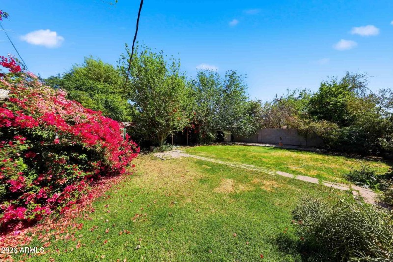 Beautiful Backyard