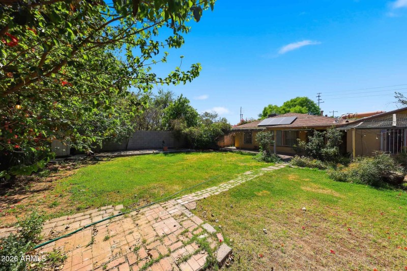 Backyard