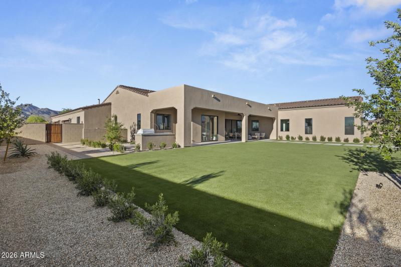 Backyard Turf