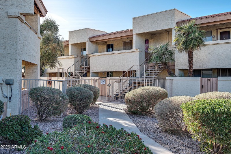 4150Cactus-1_
