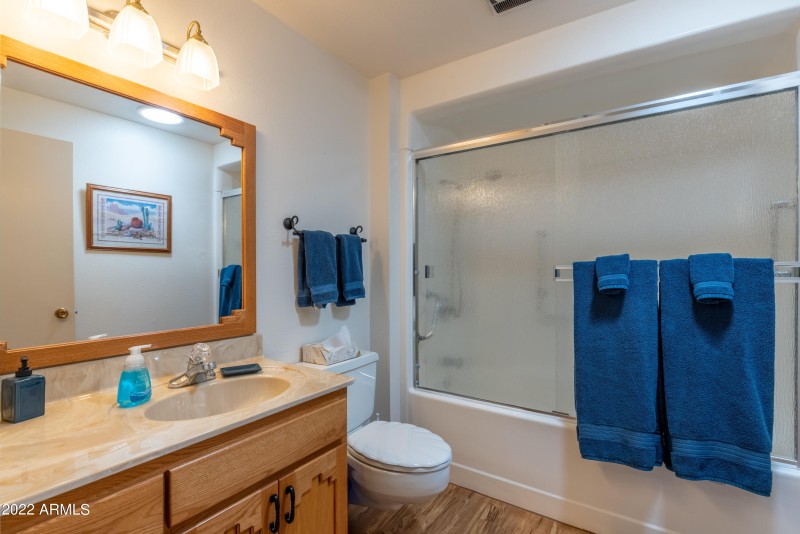 Guest bathroom