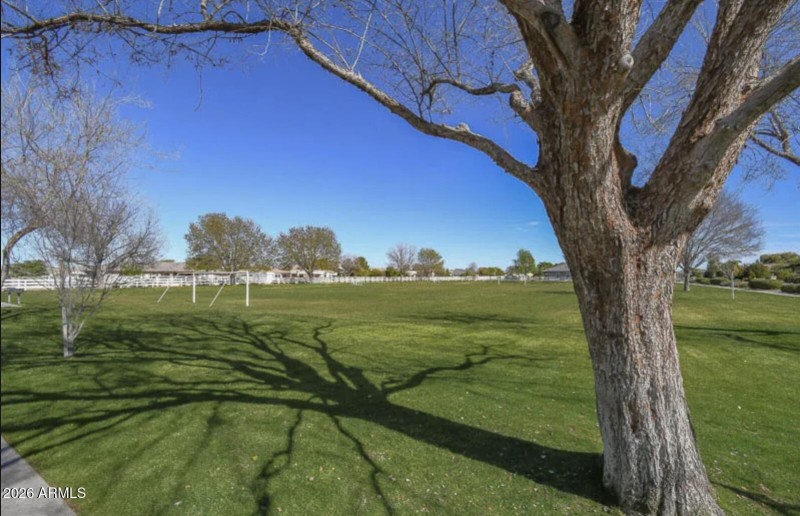 21102 Pummelos - Community2