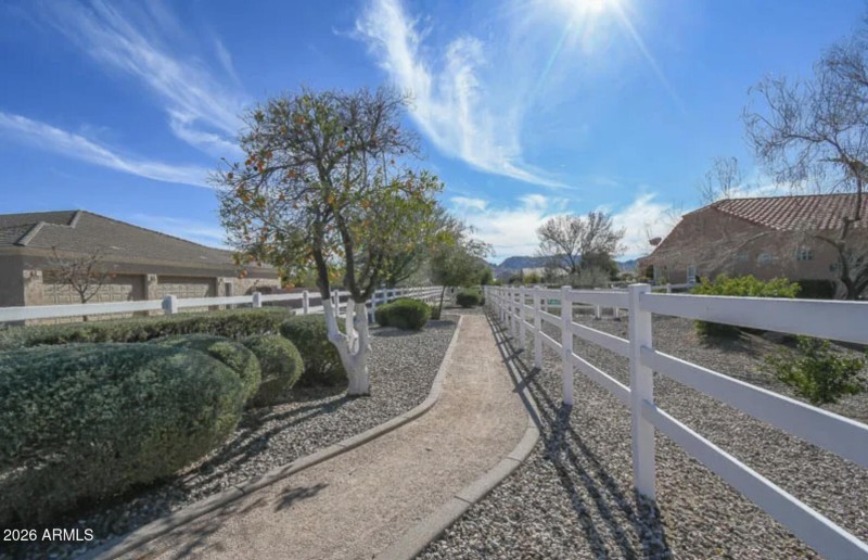 21102 Pummelos - Community4