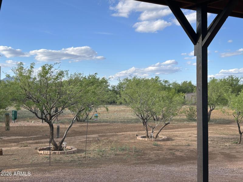 Patio View
