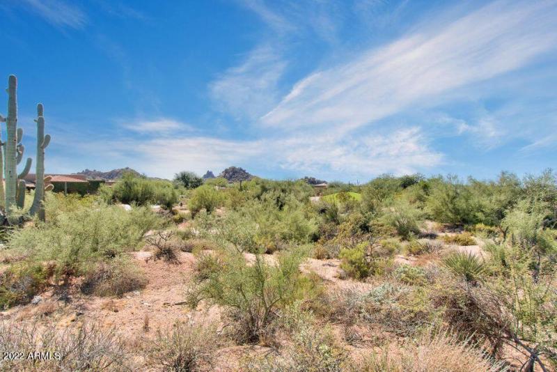Surrounding Natural Desert Landscape