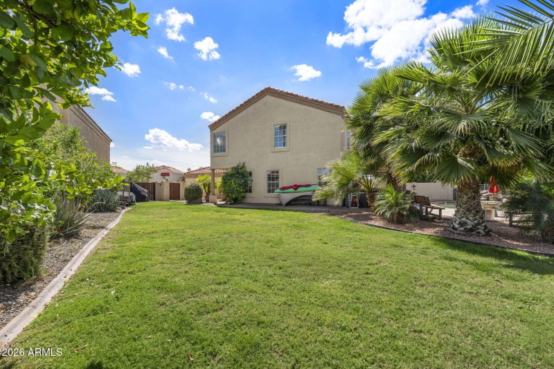 Side Yard