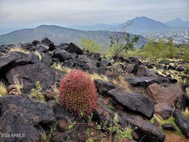 Nature in Your Community