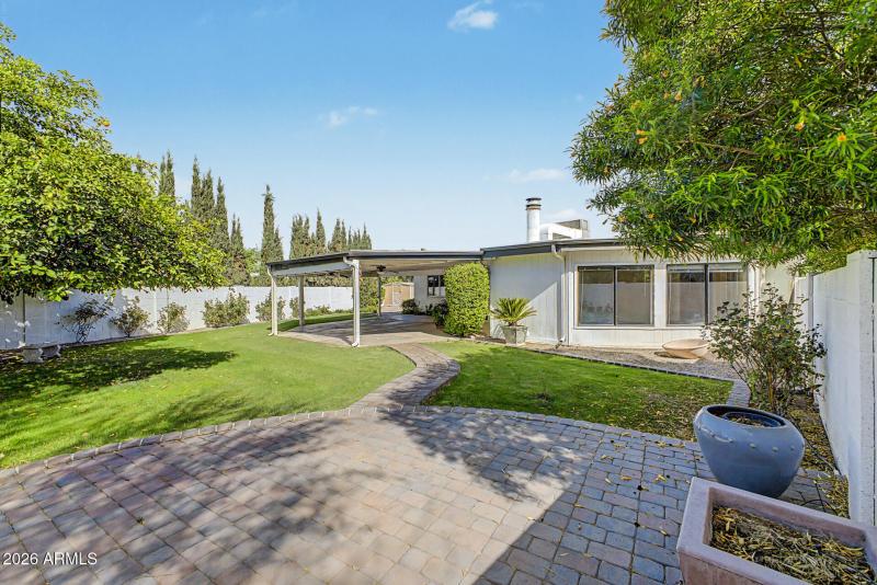 Backyard