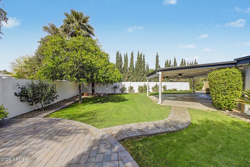 Backyard