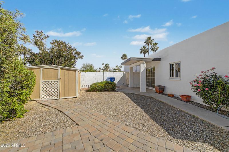 Backyard