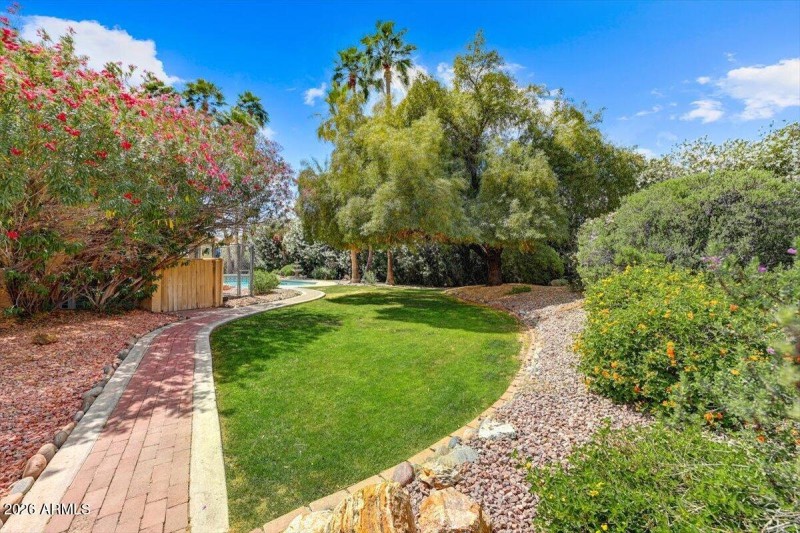 35-Backyard