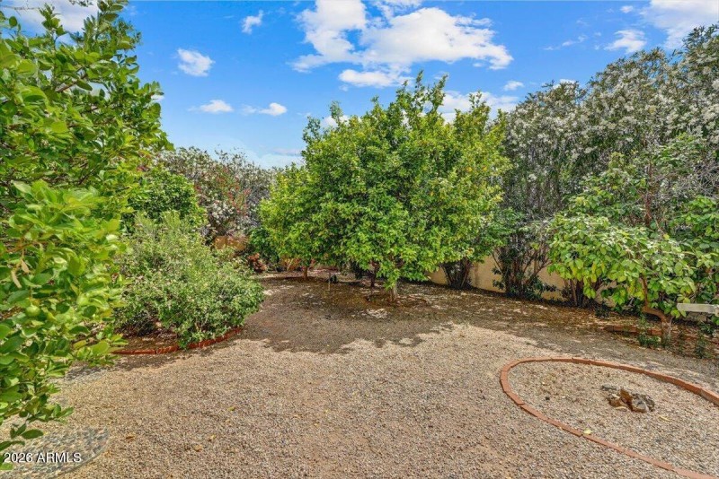 31-Side Yard Garden