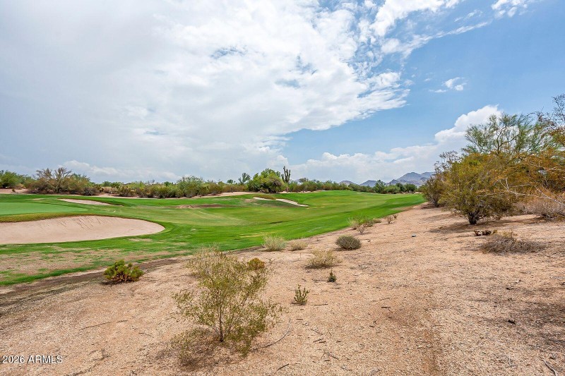6 - Grayhawk