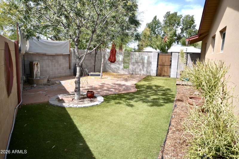 Side/Backyard