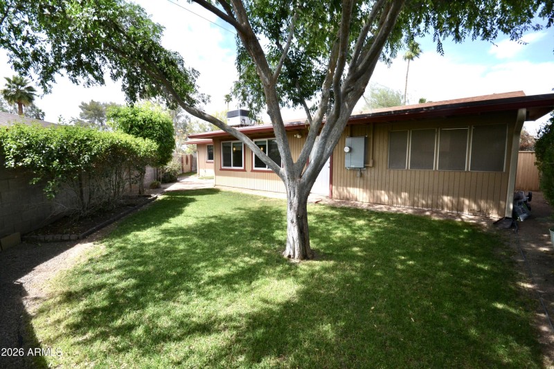 Backyard