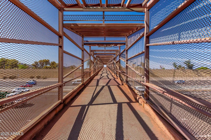 Photo #45