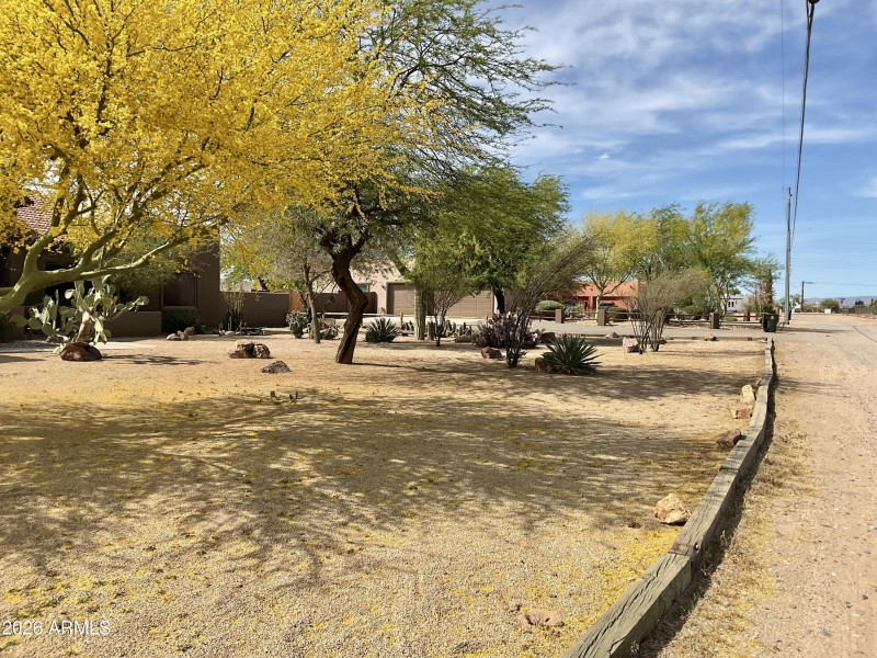 Neighborhood pics