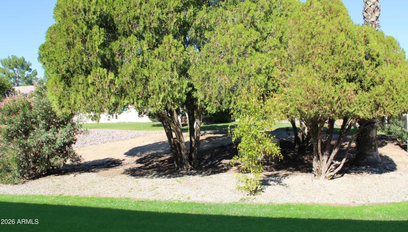 41 - Lush Green Views