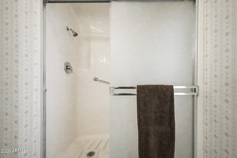 Primary Walk-in Shower