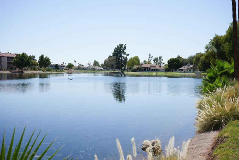 Photo #25