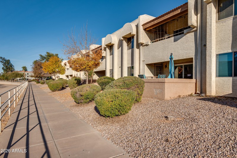 4150Cactus-10