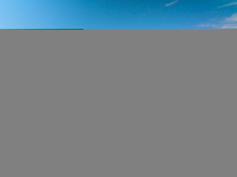 Photo #85
