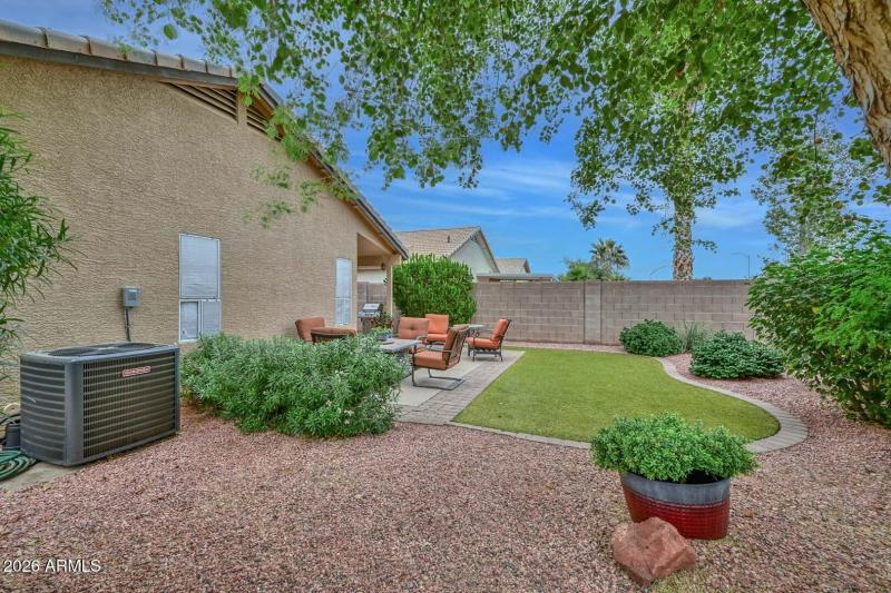 Backyard2