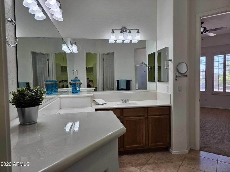 Primary bathroom