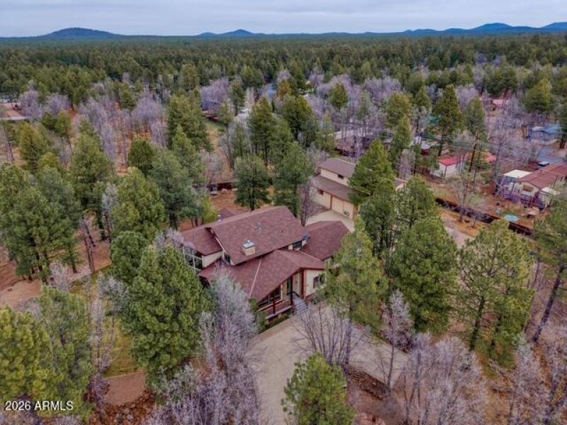 Flake drone view 3