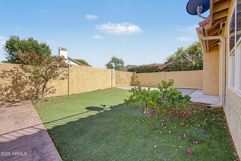 Backyard