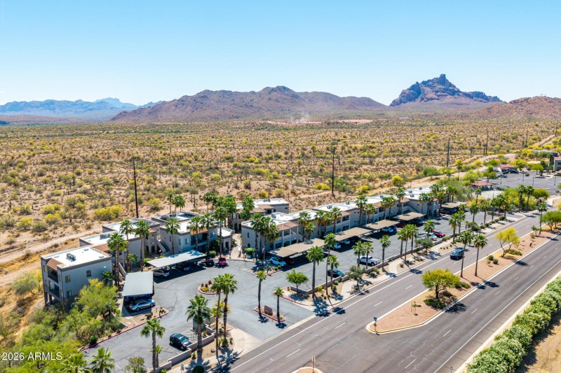 1 - Saguaro Drone
