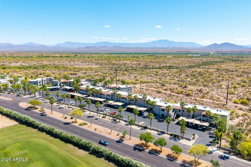 3 - Saguaro Drone