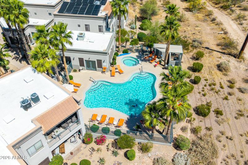 5 - Saguaro Drone