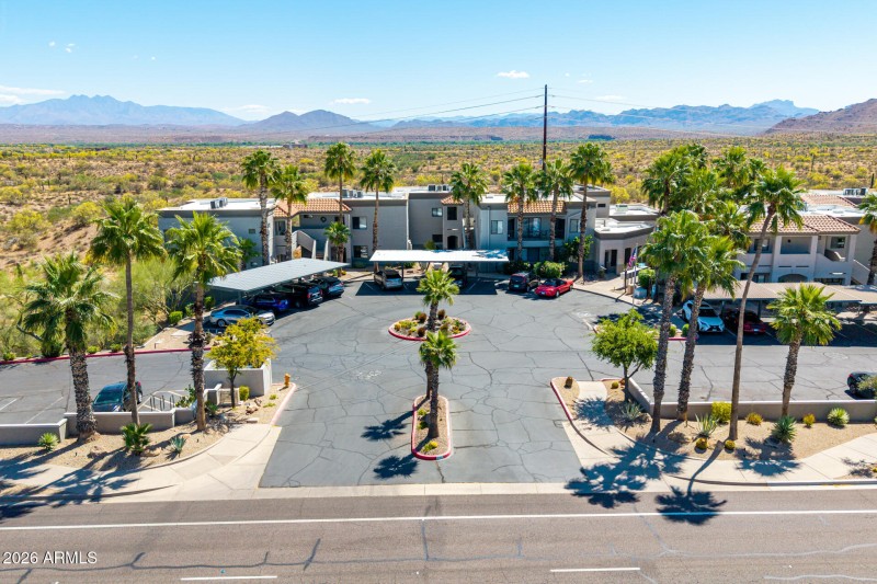 8 - Saguaro Drone