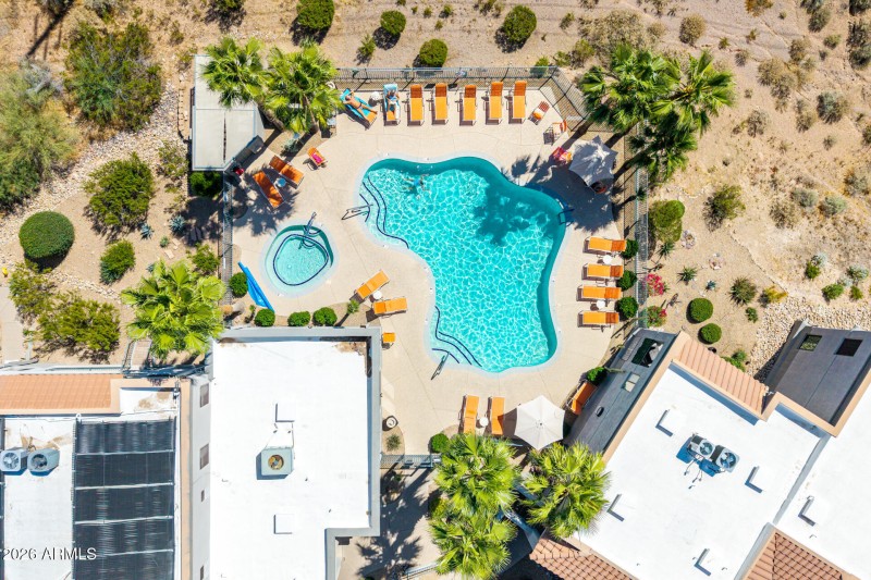 9 - Saguaro Drone