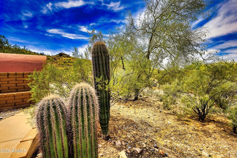 _MG_1349_hdr