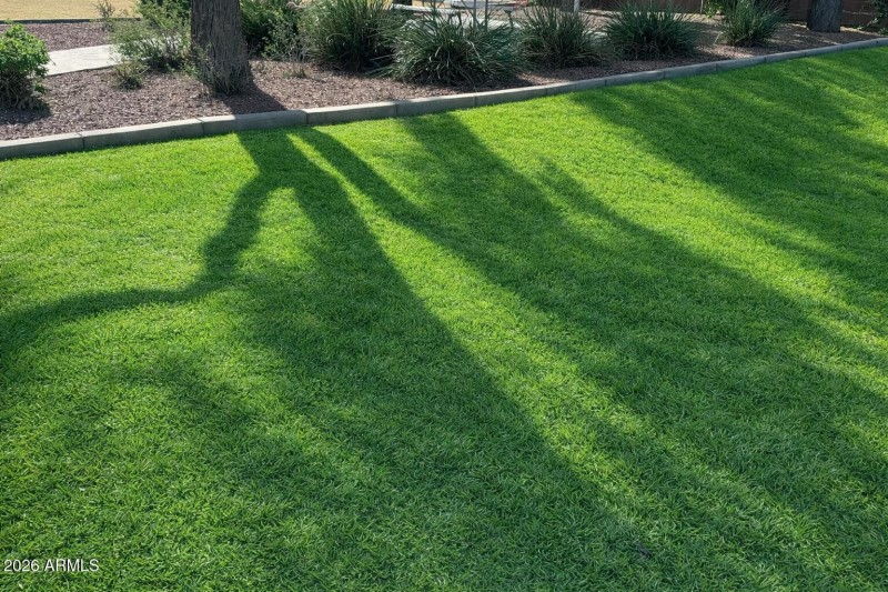 Photo #33