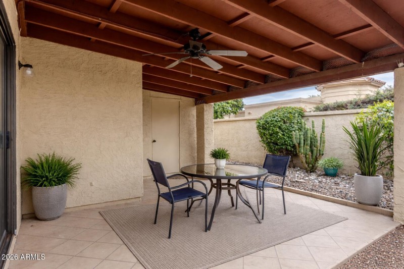 Bright suburban patio oasis