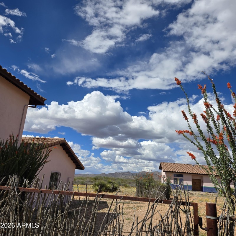Looking to the back