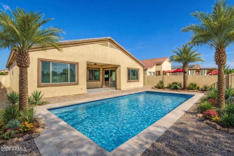 Pool backyard