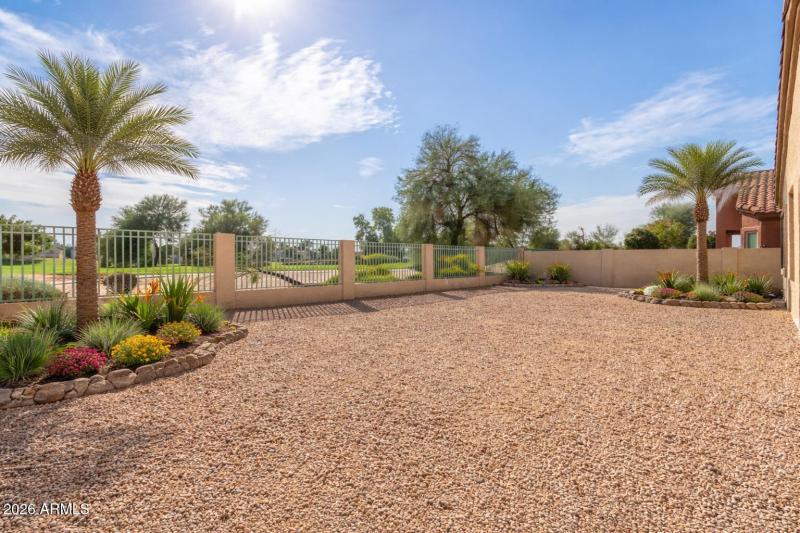 Desert oasis backyard with palm trees