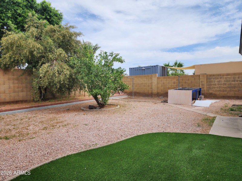 Back right yard