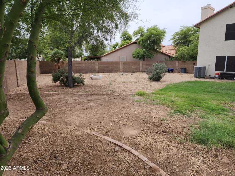Back Yard