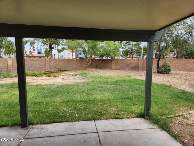 Back Yard from Arcadia Door