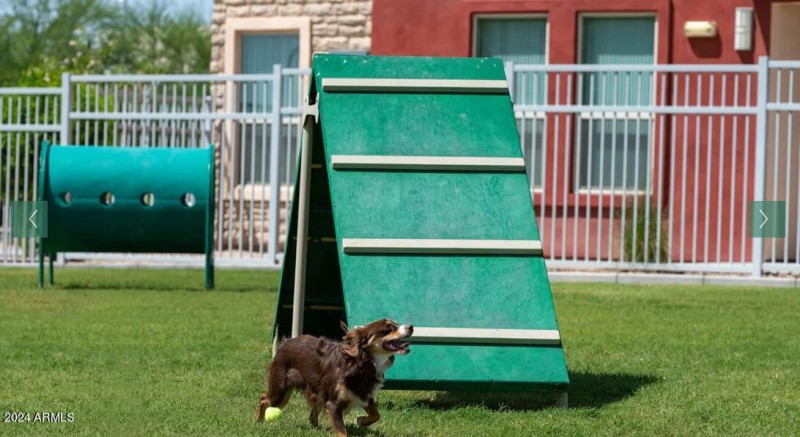 Photo #17