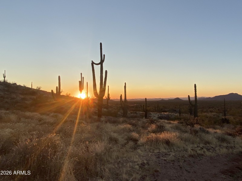 DesertSunset1